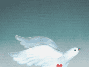 Oysa Herkes Öldürür Sevdiğini