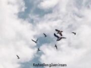 Kendine iyi geleni sev