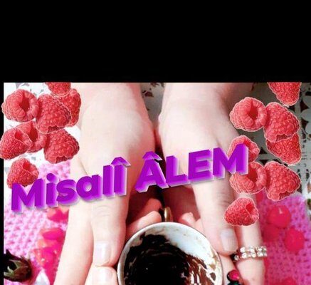 Misali Alem Kitap İncelemesi Misali Alem Kitap İncelemesi