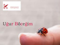 Uğur Böceğim Şiir Uğur Böceğim