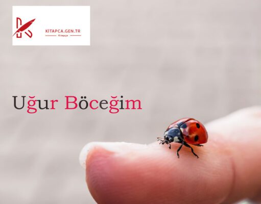 Uğur Böceğim Şiir Uğur Böceğim